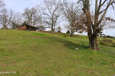 Tiny photo for 680 Forkners Chapel Rd, Sweetwater, TN 37874 (MLS # 1334108)