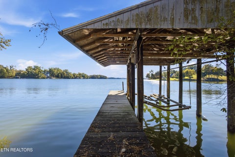 Tiny photo for 761 Toestring Cove Rd, Spring City, TN 37381 (MLS # 1359924)