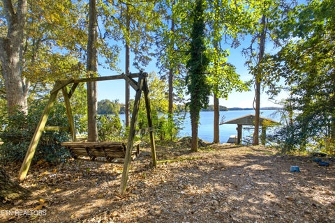 Tiny photo for 761 Toestring Cove Rd, Spring City, TN 37381 (MLS # 1359924)
