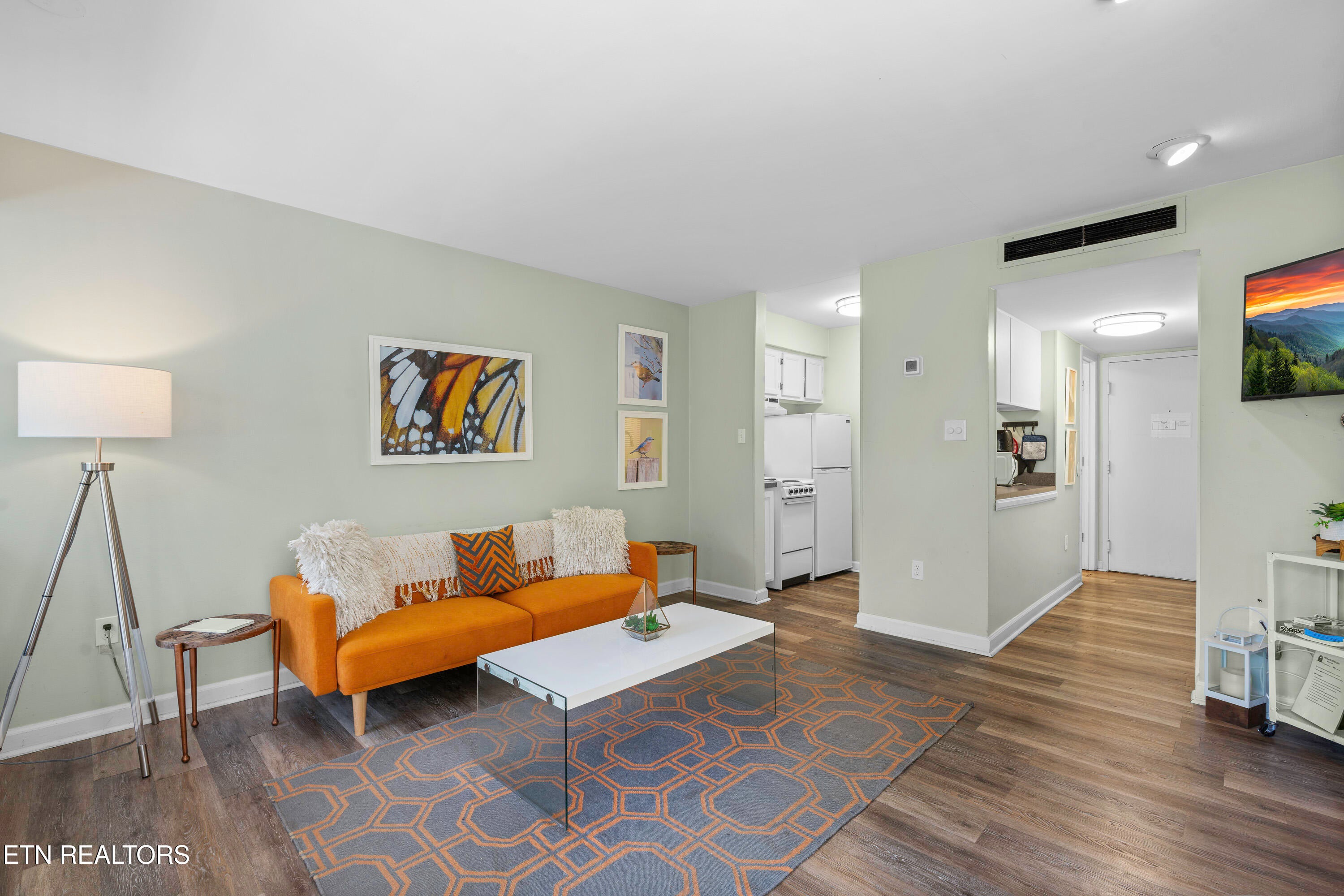 1260 Ski View Drive APT2206