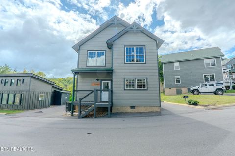 876 Osprey Way Pigeon Forge TN 37863
