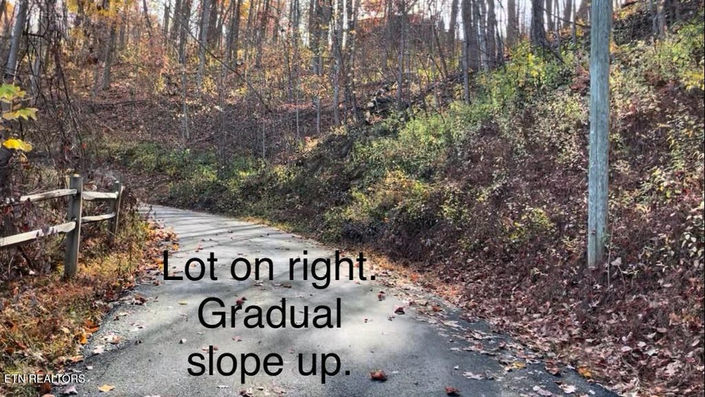 Photo of Emerald Springs Loop, Sevierville, TN 37862 (MLS # 1321779)