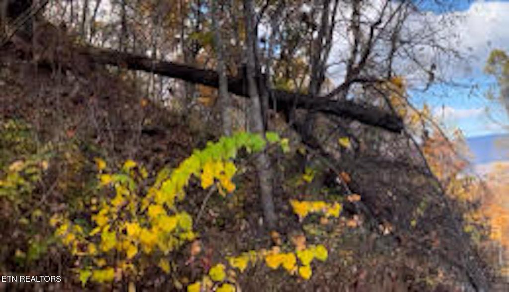 Photo of Emerald Springs Loop, Sevierville, TN 37862 (MLS # 1321779)