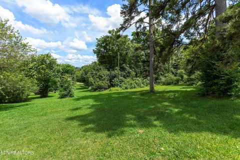Tiny photo for 2940 Gaston Ave, Knoxville, TN 37917 (MLS # 1305800)