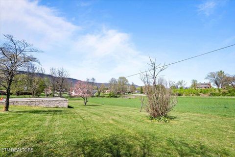 Tiny photo for 121 E Village Circle, LaFollette, TN 37766 (MLS # 1323242)