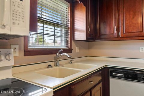 Tiny photo for 121 E Village Circle, LaFollette, TN 37766 (MLS # 1323242)