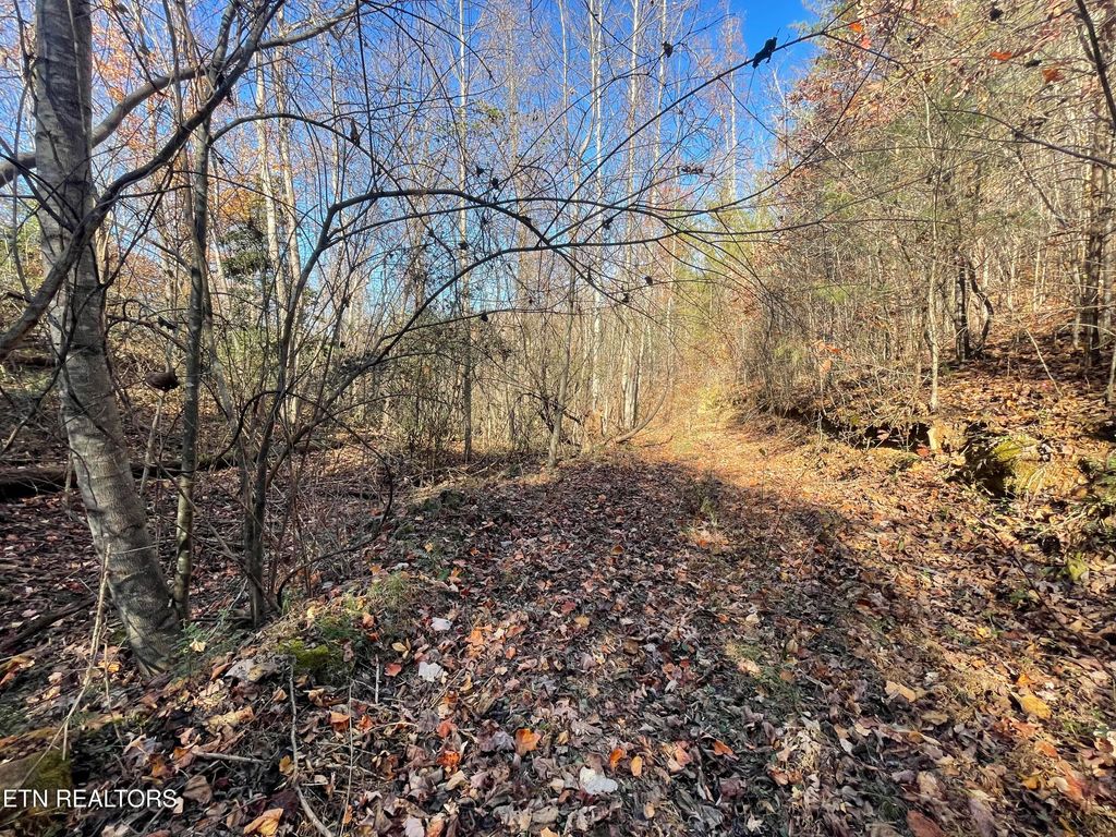 Photo of 567 Beatys Chapel Rd, Tellico Plains, TN 37385 (MLS # 1318579)