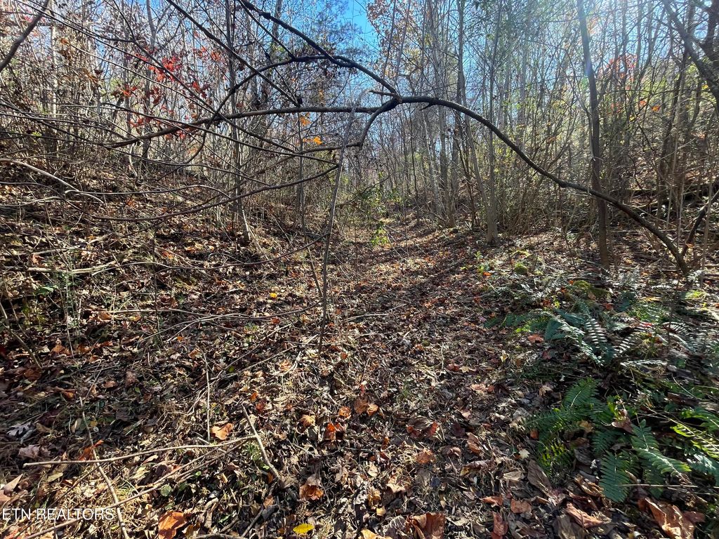 Photo of 567 Beatys Chapel Rd, Tellico Plains, TN 37385 (MLS # 1318579)