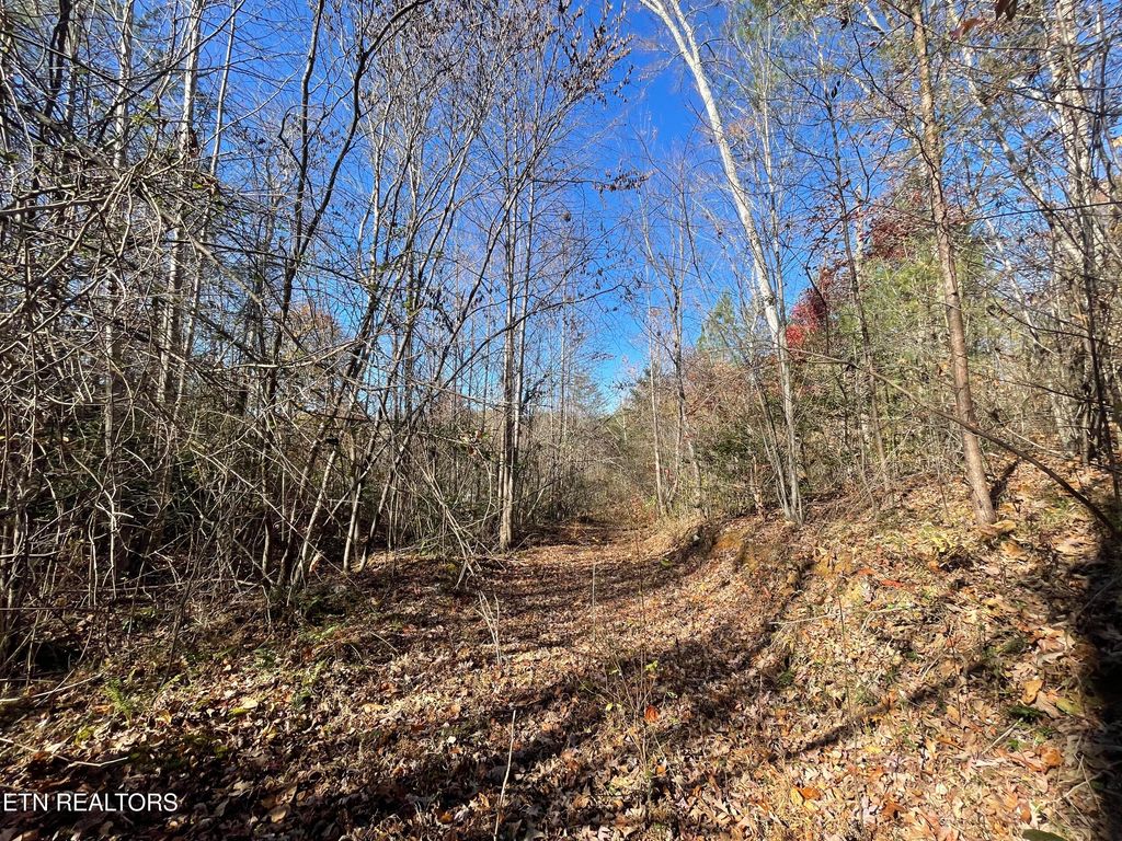 Photo of 567 Beatys Chapel Rd, Tellico Plains, TN 37385 (MLS # 1318579)