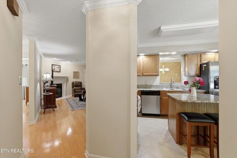 Tiny photo for 715 Cedar Lane #110, Knoxville, TN 37912 (MLS # 1338780)