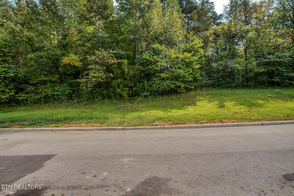 Photo of 646 Sandpiper Drive, Vonore, TN 37885 (MLS # 1316826)