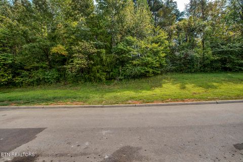 Tiny photo for 646 Sandpiper Drive, Vonore, TN 37885 (MLS # 1316826)