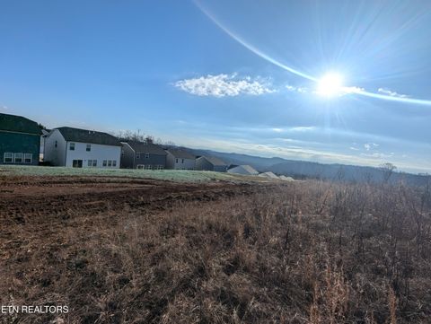 Photo of 0 Buttermilk Rd, Knoxville, TN 37932 (MLS # 1328820)