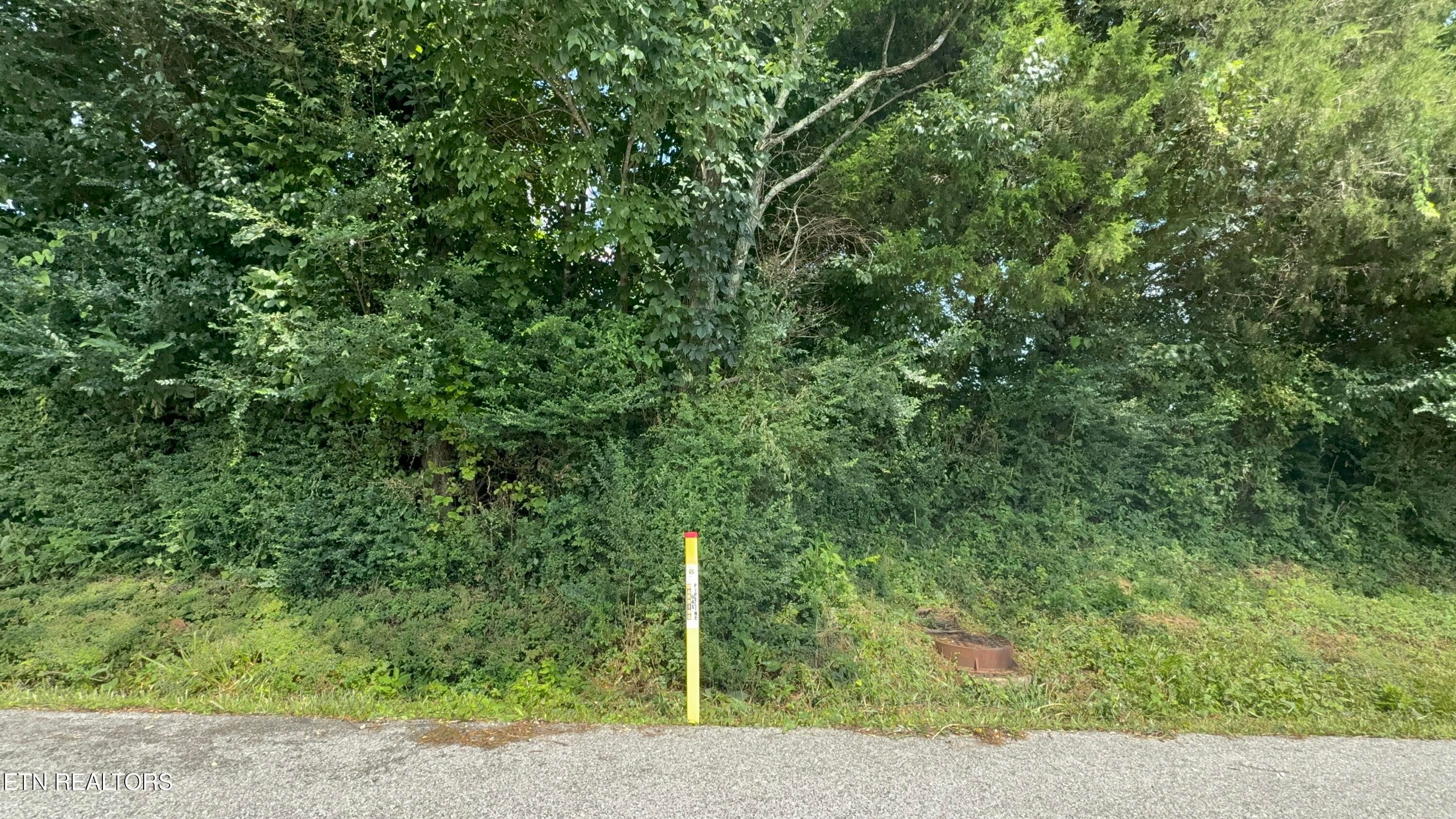 Mountain Perkins Lane