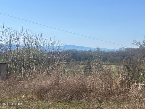 Tiny photo for 701 Old Witt Rd, Morristown, TN 37813 (MLS # 1332564)