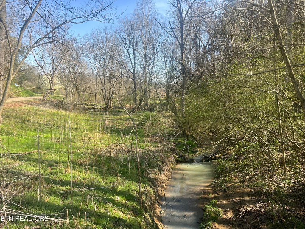 Photo of 701 Old Witt Rd, Morristown, TN 37813 (MLS # 1332564)