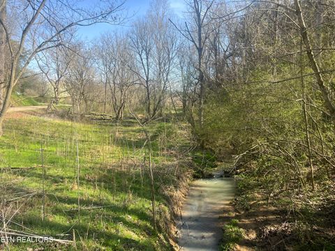 Tiny photo for 701 Old Witt Rd, Morristown, TN 37813 (MLS # 1332564)