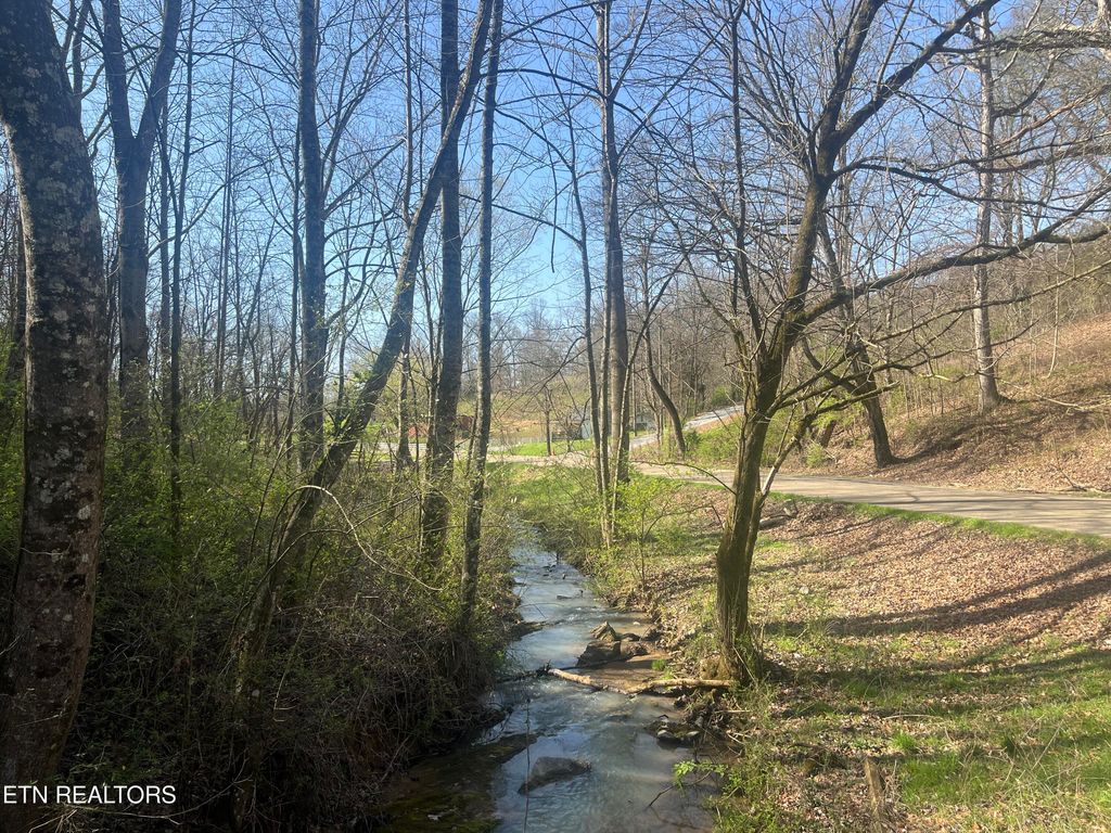 Photo of 701 Old Witt Rd, Morristown, TN 37813 (MLS # 1332564)