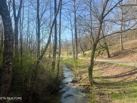 Tiny photo for 701 Old Witt Rd, Morristown, TN 37813 (MLS # 1332564)