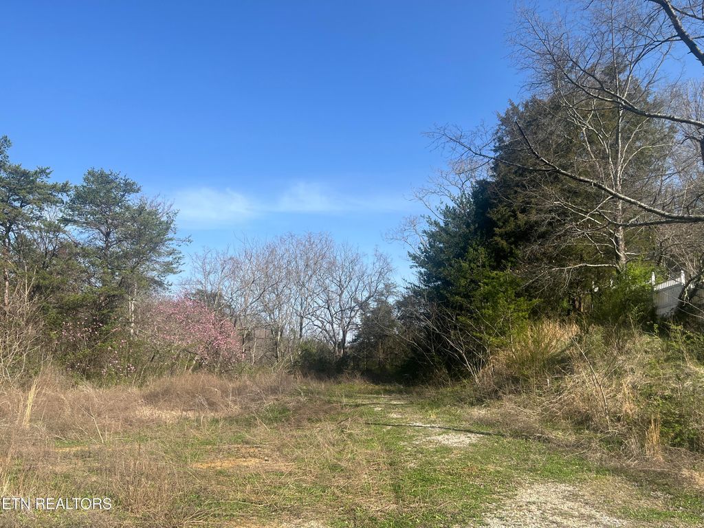 Photo of 701 Old Witt Rd, Morristown, TN 37813 (MLS # 1332564)
