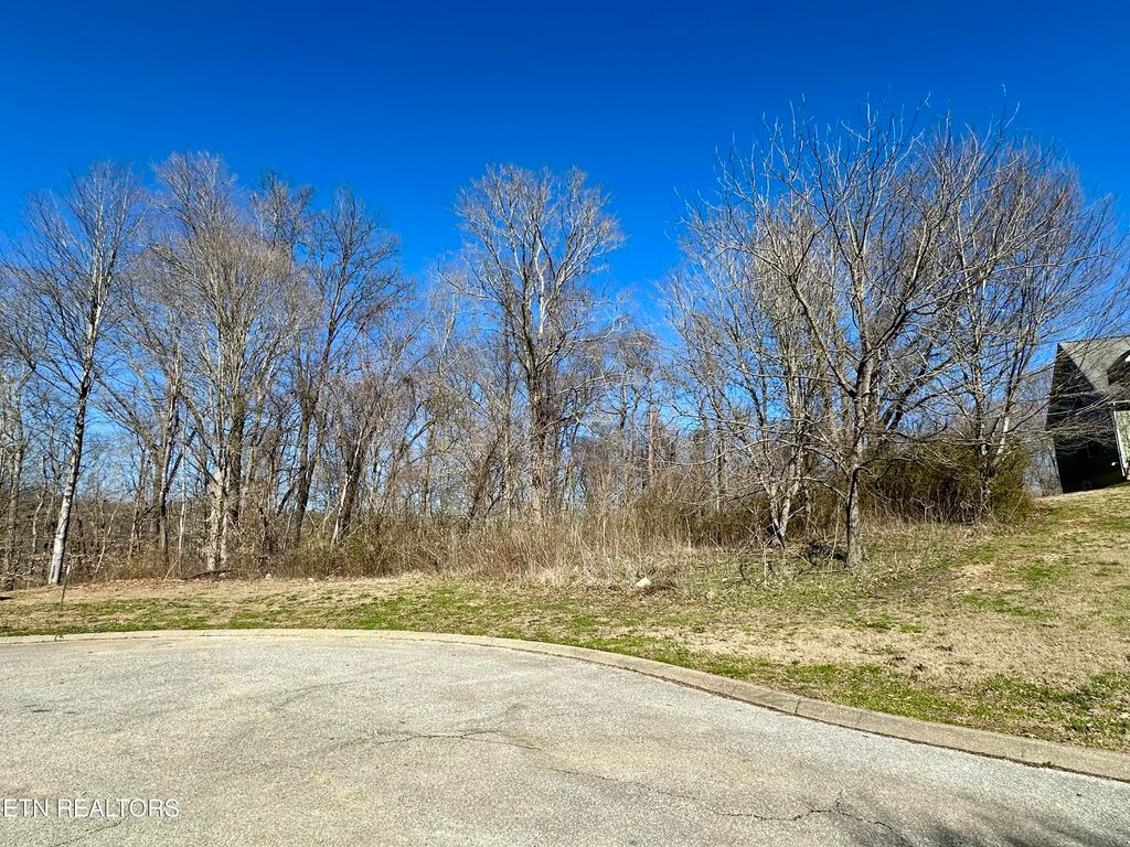 Photo of Coventry Drive, Andersonville, TN 37705 (MLS # 1330735)
