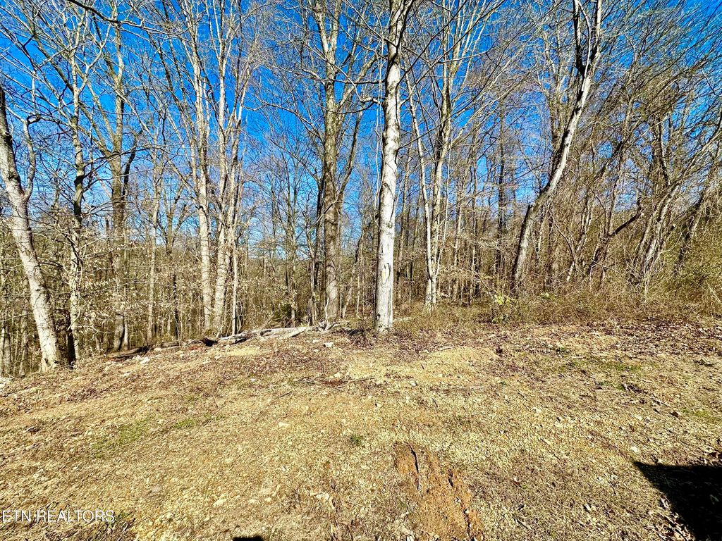 Photo of Coventry Drive, Andersonville, TN 37705 (MLS # 1330735)