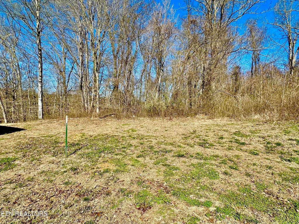 Photo of Coventry Drive, Andersonville, TN 37705 (MLS # 1330735)