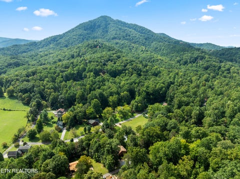 Tiny photo for 3839 Saddle Brook Way, Sevierville, TN 37862 (MLS # 1355808)