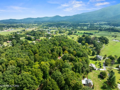 Tiny photo for 3839 Saddle Brook Way, Sevierville, TN 37862 (MLS # 1355808)