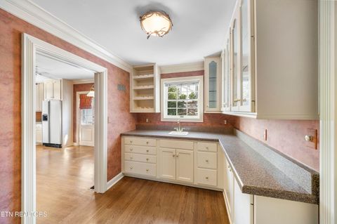 Tiny photo for 4121 SW Towanda Tr, Knoxville, TN 37919 (MLS # 1334372)