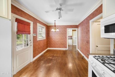 Tiny photo for 4121 SW Towanda Tr, Knoxville, TN 37919 (MLS # 1334372)