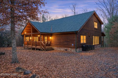 Tiny photo for 220 Amet Way, Cosby, TN 37722 (MLS # 1328503)