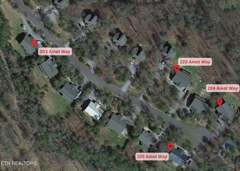 Tiny photo for 220 Amet Way, Cosby, TN 37722 (MLS # 1328503)