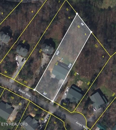 Tiny photo for 220 Amet Way, Cosby, TN 37722 (MLS # 1328503)