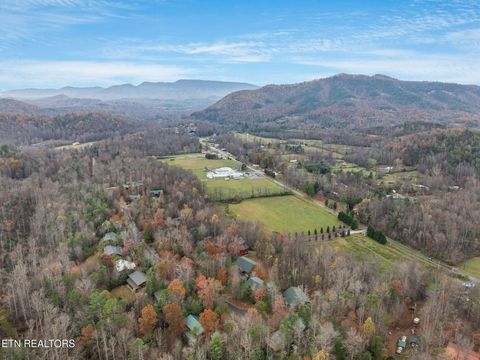 Tiny photo for 220 Amet Way, Cosby, TN 37722 (MLS # 1328503)