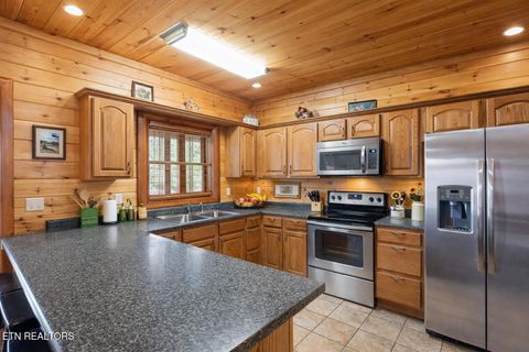 Tiny photo for 220 Amet Way, Cosby, TN 37722 (MLS # 1328503)