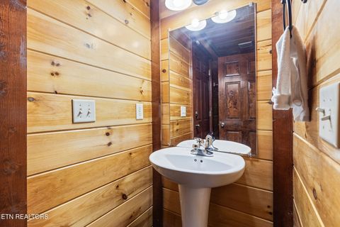 Tiny photo for 220 Amet Way, Cosby, TN 37722 (MLS # 1328503)