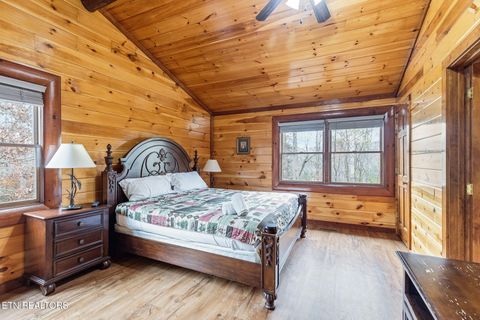 Tiny photo for 220 Amet Way, Cosby, TN 37722 (MLS # 1328503)