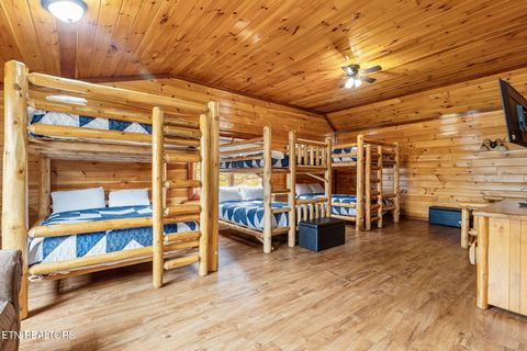 Tiny photo for 220 Amet Way, Cosby, TN 37722 (MLS # 1328503)