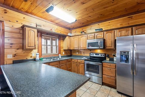 Tiny photo for 220 Amet Way, Cosby, TN 37722 (MLS # 1328503)