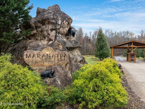 Tiny photo for 220 Amet Way, Cosby, TN 37722 (MLS # 1328503)