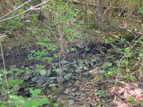 Tiny photo for Prentice St. - Lots 35 & 36, Crossville, TN 38555 (MLS # 1357594)