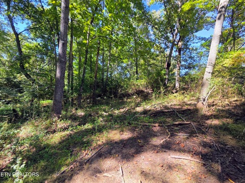 Tiny photo for Prentice St. - Lots 35 & 36, Crossville, TN 38555 (MLS # 1357594)