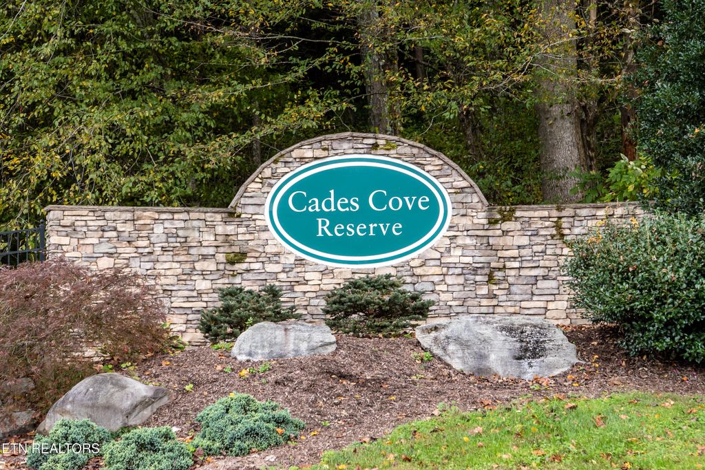 Photo of 229 Bishops Cap Circle #101, Townsend, TN 37882 (MLS # 1296631)