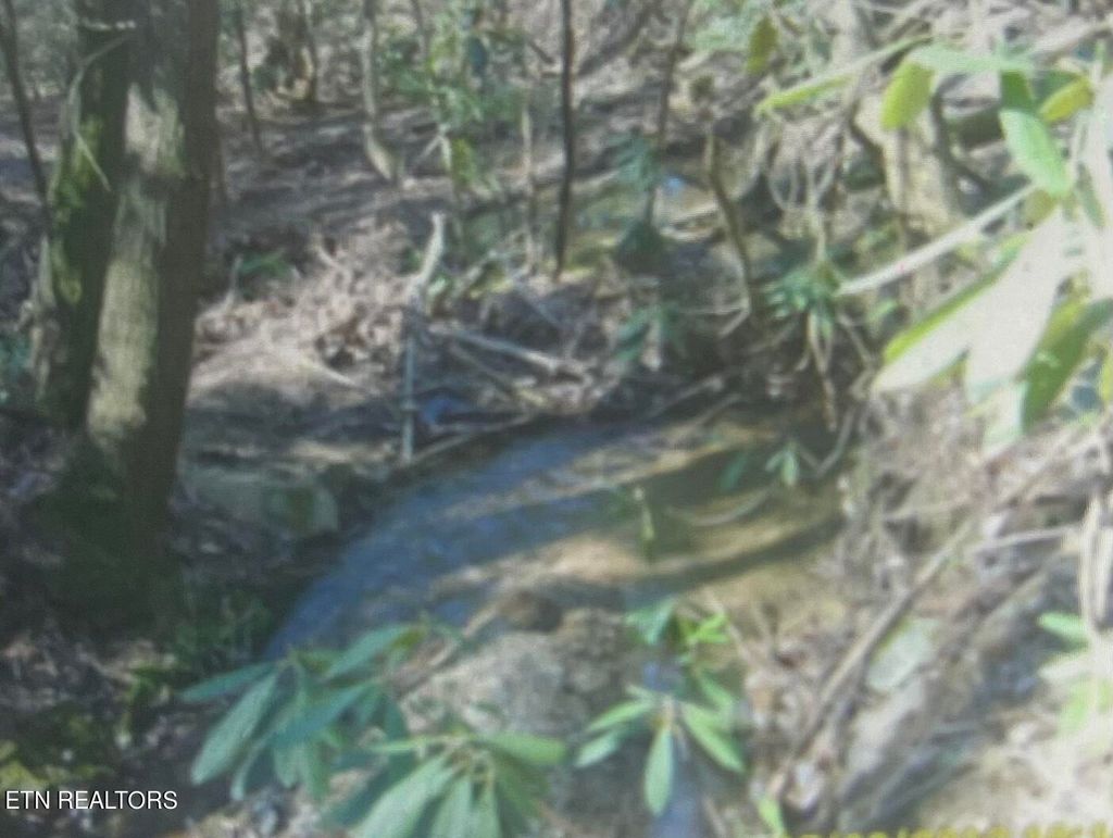 Photo of Rivendell Lane, Tellico Plains, TN 37385 (MLS # 1238377)