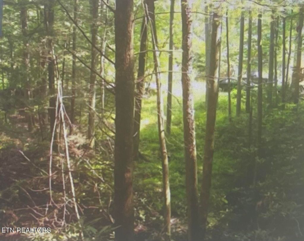 Photo of Rivendell Lane, Tellico Plains, TN 37385 (MLS # 1238377)