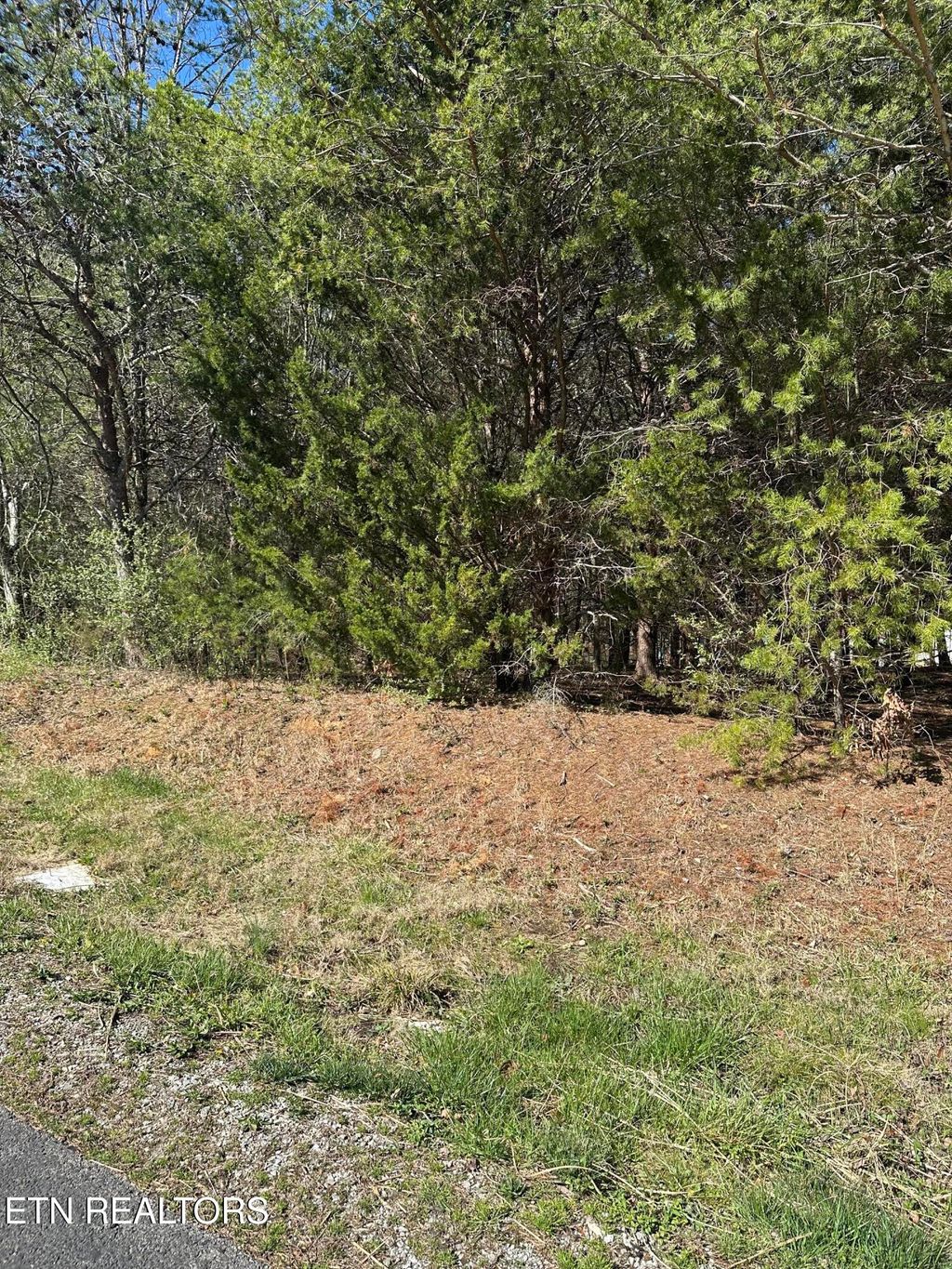 Photo of Ganega Trail, Vonore, TN 37885 (MLS # 1293777)