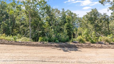 Lot 105 Sommet Ridge East Tazewell TN 37879