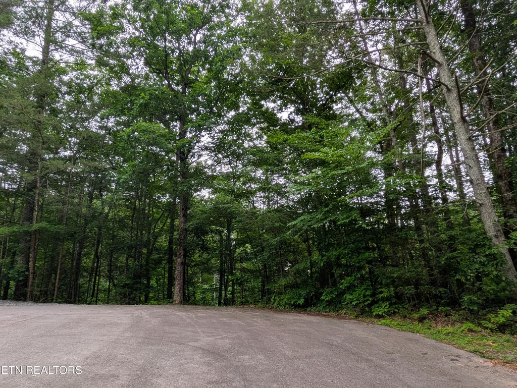 Photo of 438 Kurt&#39;s Corner Rd, Townsend, TN 37882 (MLS # 1303087)
