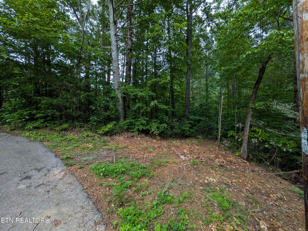 Photo of 438 Kurt&#39;s Corner Rd, Townsend, TN 37882 (MLS # 1303087)